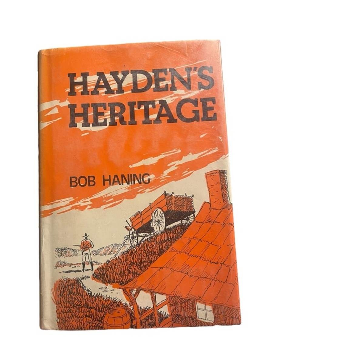 Vintage Hardcover Book Rare Out of Print Hayden’s Heritage