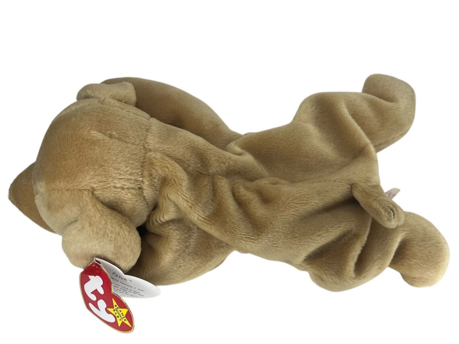 TY Beanie Baby - FETCH the Dog (8.5 inch)