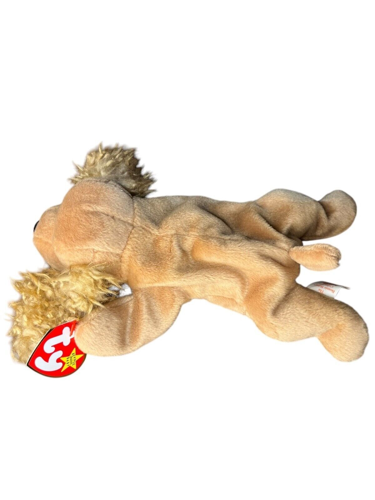 TY Beanie Baby - SPUNKY the Dog (8 inch)
