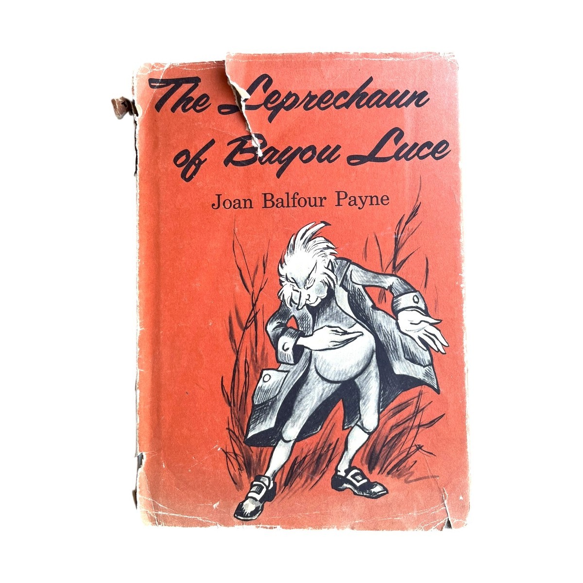The Leprechaun of Bayou Luce