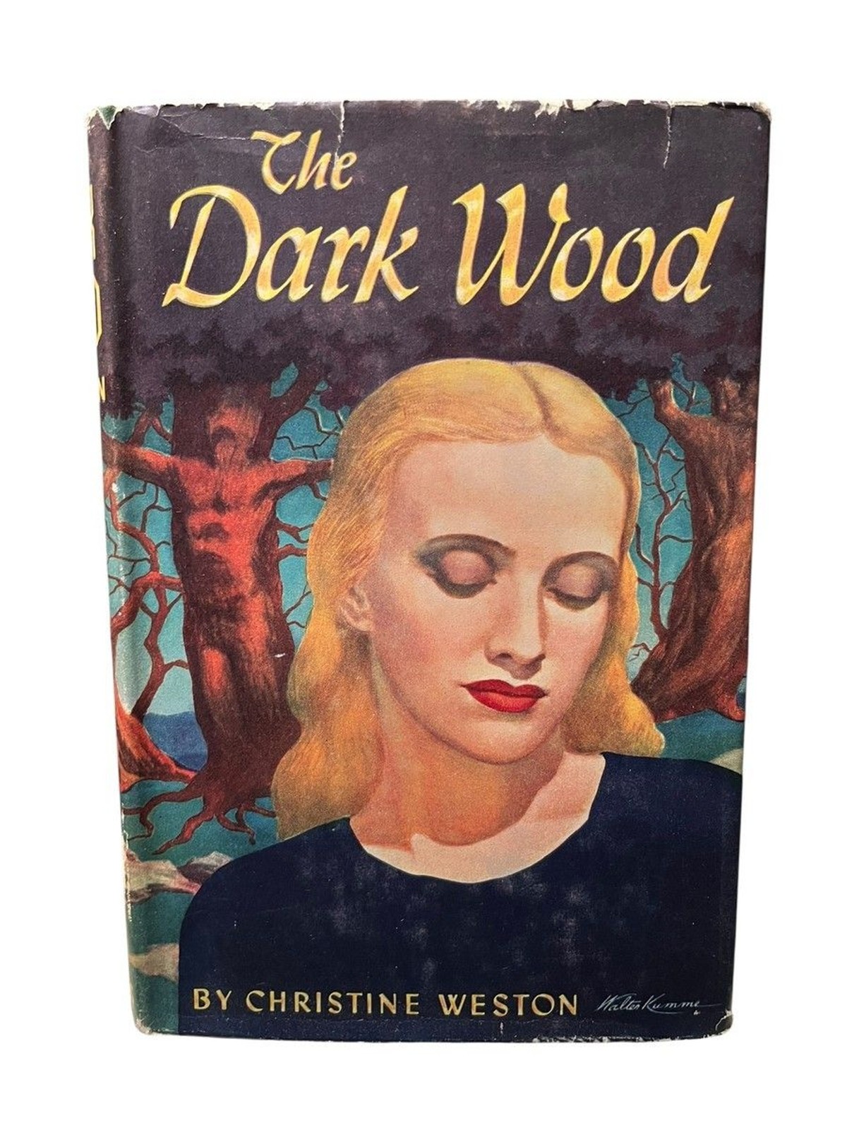 The Dark Wood Hardcover Vintage Art