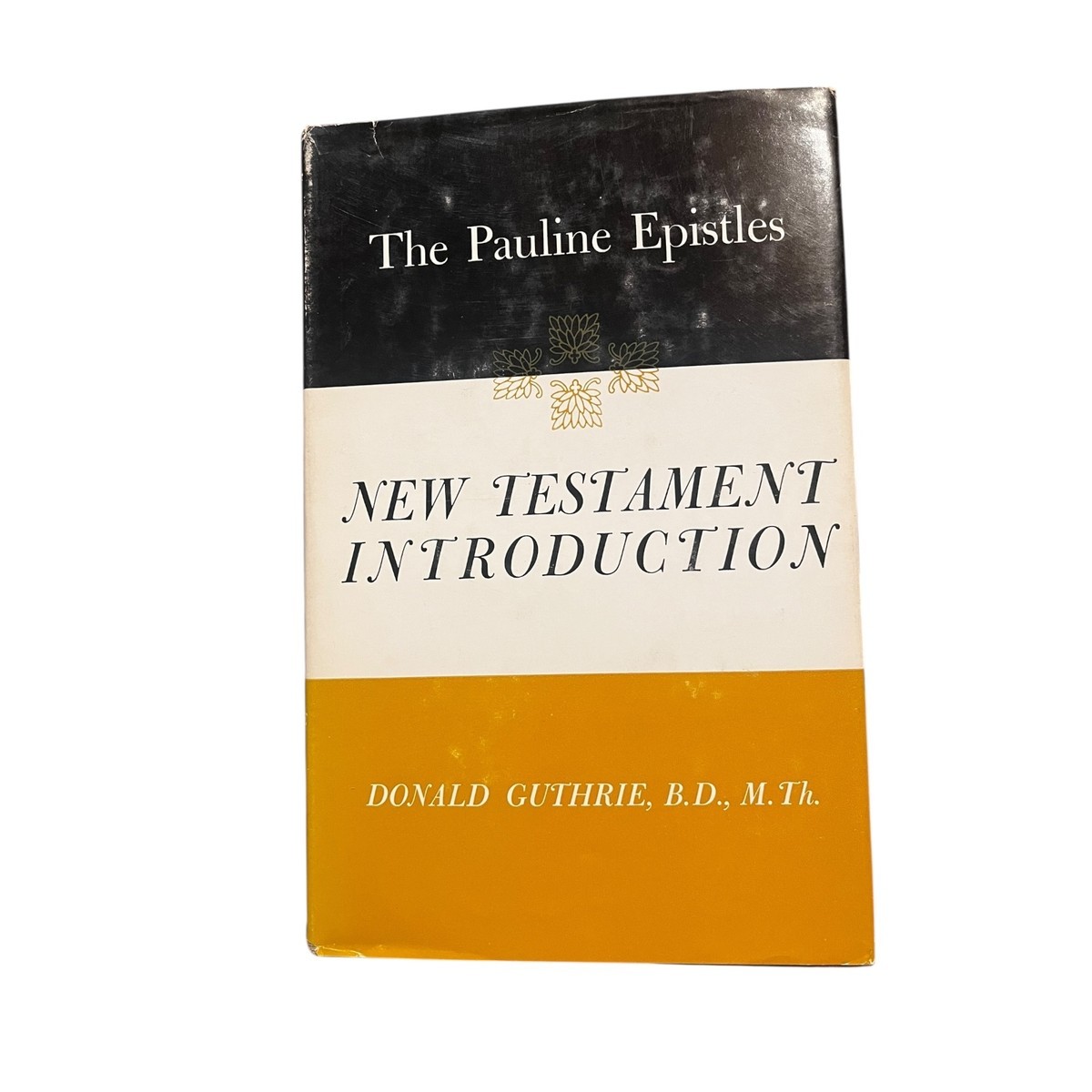 Pauline Epistles New Testament Introduction Study Guide Scholarly Commentary