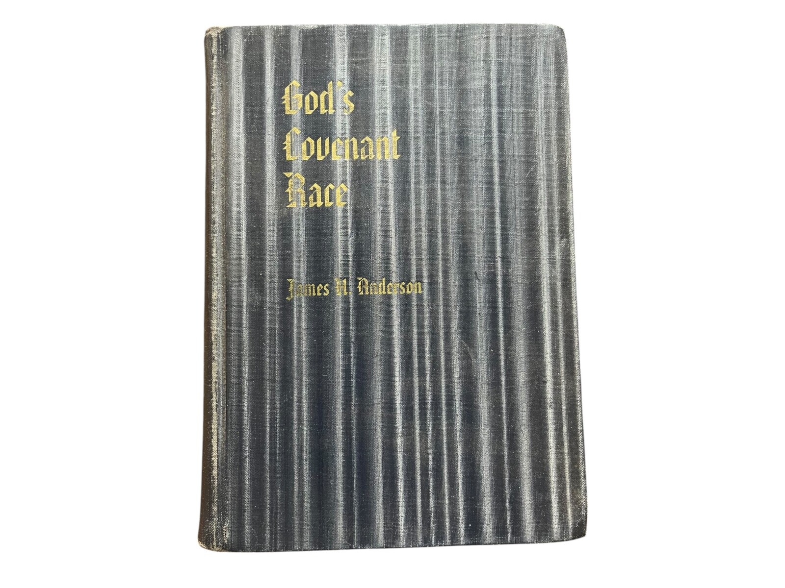 God's Covenant Race from Patriarchal Times to The Present by James H. Anderson