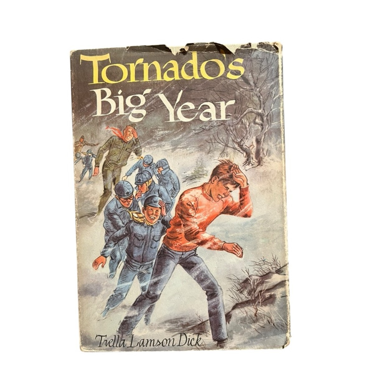 VINTAGE Tornado's Big Year Trella Lamson Dick HC Children's Book