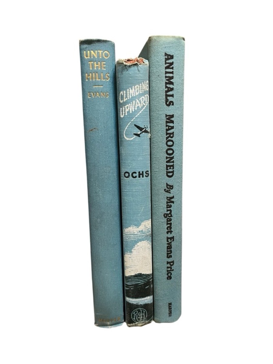 Vintage Light Blue Hardcover Book Set